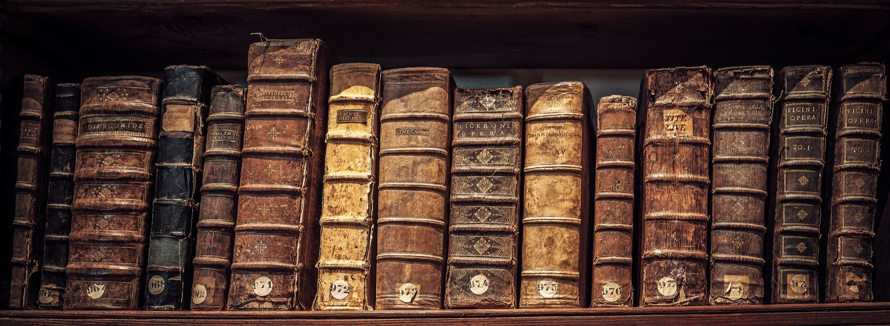 A shelf of antique leather-bound folios