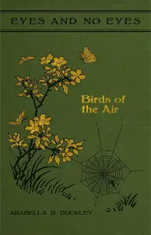 Eyes and No Eyes: Birds of the Air